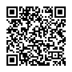 一个老妇人带着哭腔的声音从外面传进了县衙内二维码生成
