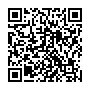 一个老者和一个三四十多岁的一脸精明的中年人正坐在后排二维码生成