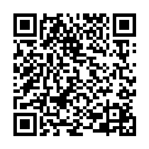 一个脸上带着酒瓶厚眼镜的瘦弱中年人苦笑着凑到杨晨身边二维码生成