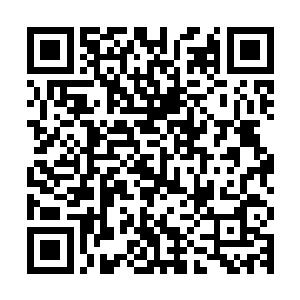 一个自动机械化的蜂群文明需要极强的网络连接和信息交互速度二维码生成
