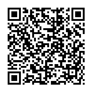 一个自己死……这些侍卫们自然疯狂的涌出去寻找宁妃和王文昌了二维码生成
