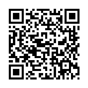 一个装着两张记忆卡的白色塑料盒二维码生成