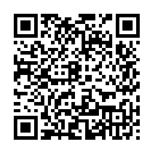 一个识字的人类起码也能被安排个教书先生的岗位二维码生成
