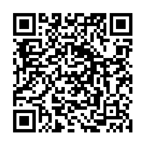 一个跟龙傲天一模一样的人也是出现在了龙傲天的身边二维码生成