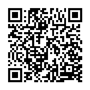 一个身上穿着古怪黑色长袍的娇小身影出现在我面前二维码生成