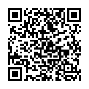 一个身材娇小的女孩听了龙战的那些辉煌的战绩二维码生成