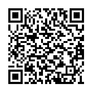 一个身材矮小的葛衣老者轻飘飘的跃到拍卖台中二维码生成