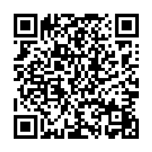 一个身材高挑的红发妞儿走到近前给老爷子扔了一下媚眼后二维码生成