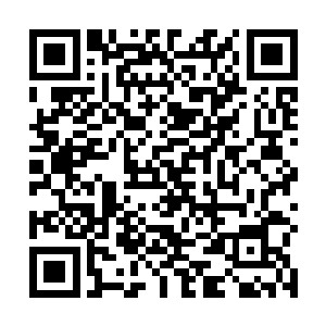 一个身穿大红和服袍子的女人便缓缓的走到了智倍身边二维码生成