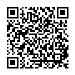 一个身穿道袍容貌俊伟的男人抱着一位伤痕累累的少年步入宫门二维码生成