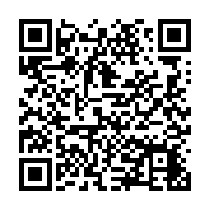 一个身穿青色盔甲的青年不知从什么地方冒了出来二维码生成