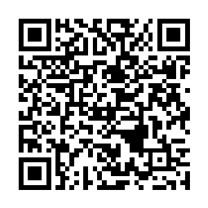 一个还没有成为神帝的小家伙根本就不值得他重视二维码生成