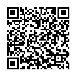 一个这么大的人类国度到底是怎样在这南瞻部洲中生存下来的二维码生成