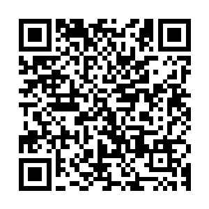 一个连自己犯了错误都不敢承认都不敢坦然面对的一级党委政府二维码生成