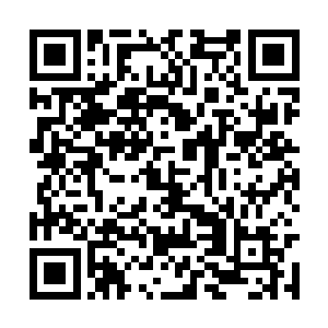 一个选择是转世投胎再次陷入悲惨的宿命轮回之中二维码生成