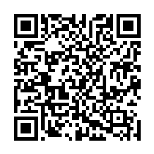 一个金丹真人看着虚空已经被无数阴魂吃成骷髅的两具尸体二维码生成