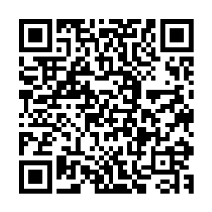 一个长得像猴子一样的家伙开始攀爬天龙食品厂的铁栅栏围墙二维码生成