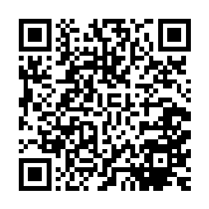 一个长得就很像狗腿子的狗腿子对着身边一个酷少愤愤的说道二维码生成