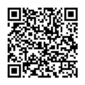 一个长条型的首饰盒从李川的衣服口袋里掉了出来二维码生成