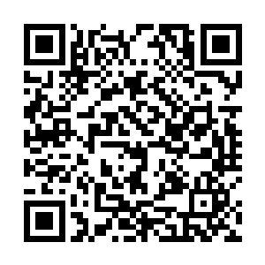 一个长老模样的老者看向坐在最中间的陈家家主陈桐生二维码生成