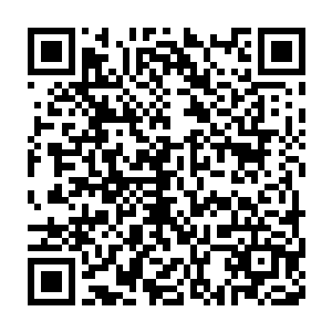 一个阴柔俊俏的男人正通过透明的玻璃幕墙盯着角落里的秦洛等人二维码生成