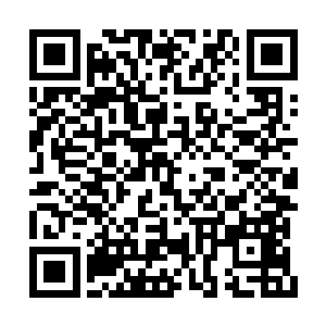 一个陈凌他就没有把握塔主能够百分百对付的了二维码生成