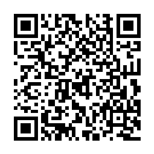 一个陌生而又繁华的城市逐渐显露出了自己的轮廓……二维码生成