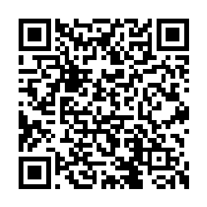 一个面孔妖异俊美的巫师冷冷地看着这三个巫师二维码生成