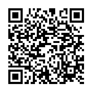 一个顶尖杀手对于自身的修为从来都不会太过追求二维码生成