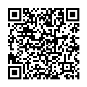 一个须发皆白的老人正坐在书桌面前自己和自己下棋二维码生成