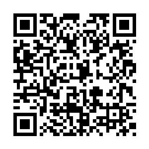 一个频率非常容易辨认出来的能量波动散发而出二维码生成