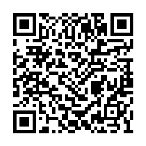 一个首席弟子带着的队伍现在正在快速的穿梭着二维码生成