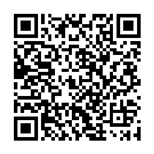 一个高达百丈的金身人像便是耸立在了紫薇宗演武场上二维码生成