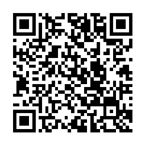 一个黄底黑字的写有play●tone的椭圆形摇动着出现二维码生成