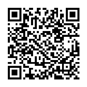 一个黑帮为什么要对一个一穷二白的落魄贵族过不去二维码生成