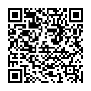 一个黑气缭绕的巨大拳头已经轰到了许紫烟的跟前二维码生成