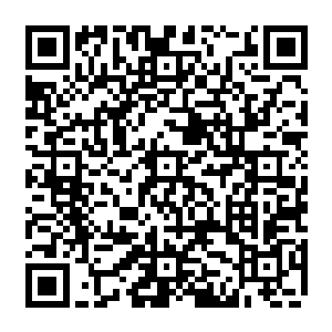 一个黑sè的小印出现在了老者的手中然后朝着空中一抛顿时黑sè的小印也是迎风而张二维码生成