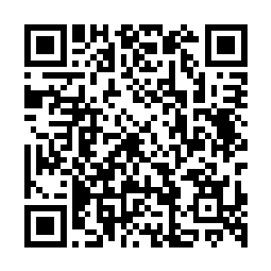 一个f级的能力者居然在一个多月的时间里成为一个d级能力强者二维码生成