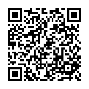一举一动都表现出了对她这个才十五岁人的不满二维码生成