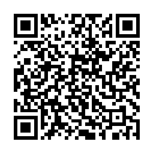 一举将侵占着艾斯基尔城的数十万魔化傀儡彻底消灭二维码生成