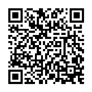 一五一十地将他们怀疑炼狱城的人背后做手脚的事给讲了一遍二维码生成
