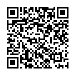 一些一直在观看的散修单是看这风墙就叹服得五体投地二维码生成