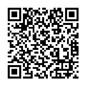 一些不在的譬如阎修和贡园值守的人马也都要做交接二维码生成