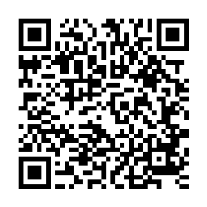 一些专门的探险公司就组织专业人员进行沉船的打捞探索工作二维码生成