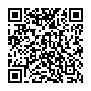 一些为领主效忠数代人才换来百来石知行赏赐的家族二维码生成