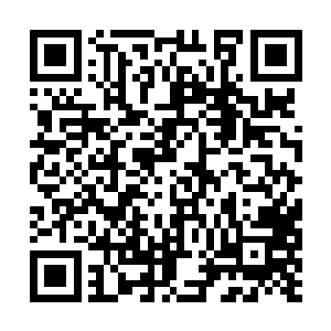 一些代表高能生物活动反应的红点也在不断移动着二维码生成