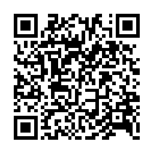 一些内门长老也会因为凌长老的关系给他小鞋穿二维码生成