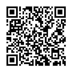 一些军卒来不及护住的地方被乱石砸的血肉模糊二维码生成