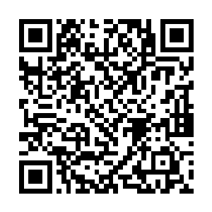 一些在凌云宫外巡逻的弟子并没有注意到它们的逼近二维码生成