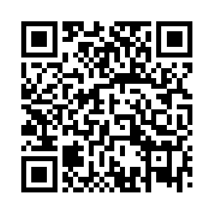 一些在海中游弋的鱼儿就这么穿过水的屏障二维码生成